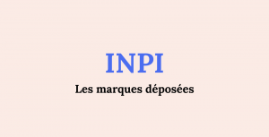 Base INPI Marques connectée à un agent IA via Silexia MCP