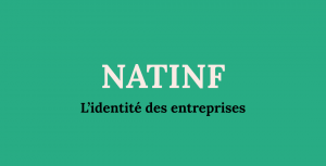 Base NATINF connectée à un agent IA via Silexia MCP